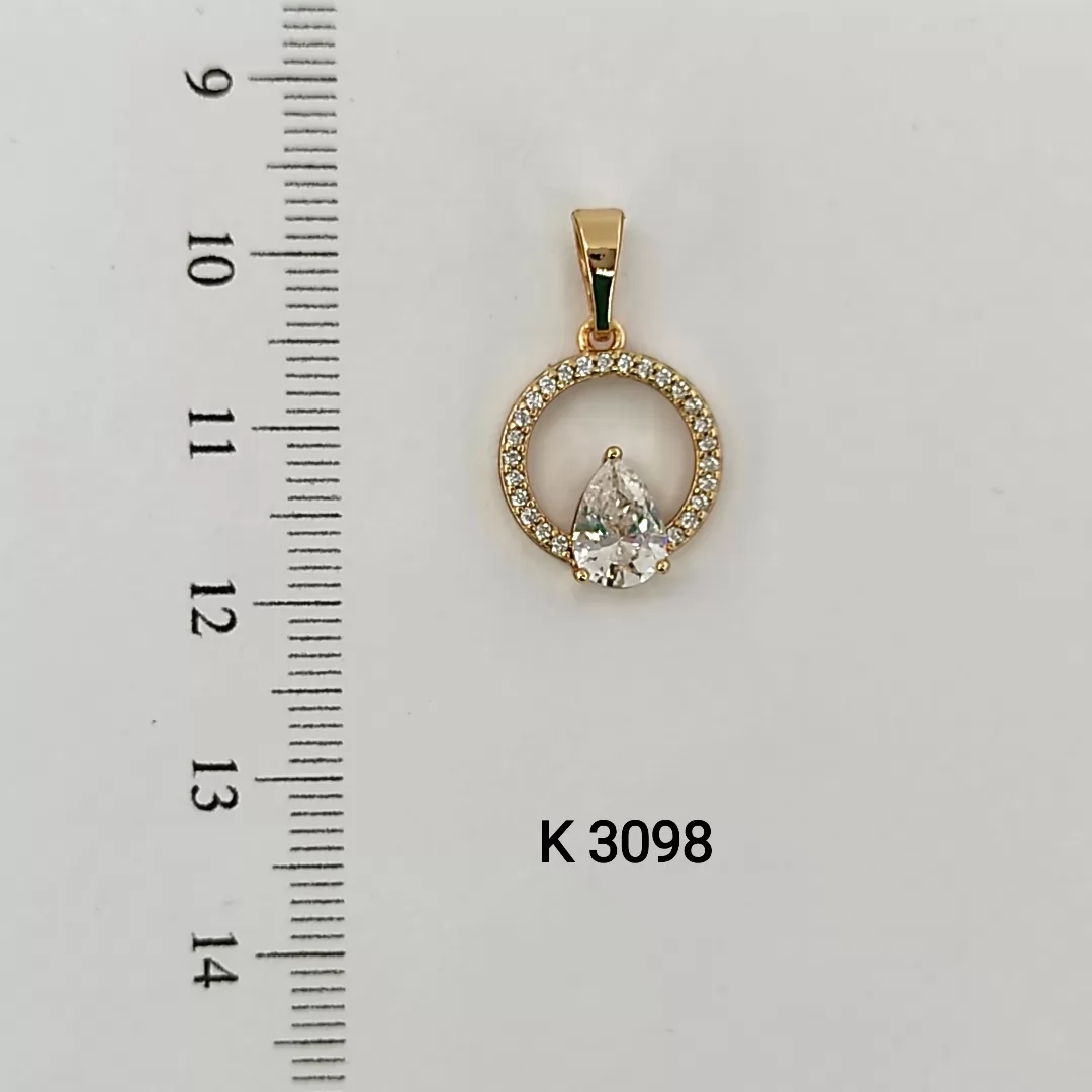 K 3098